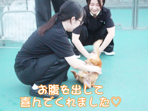 夜間部の時間帯にお散歩♪